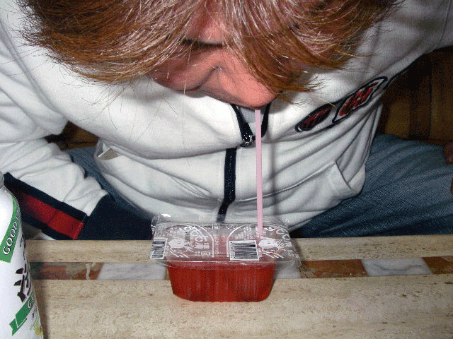c0136838_1405129.gif