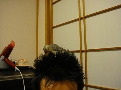 c0146040_13301977.jpg