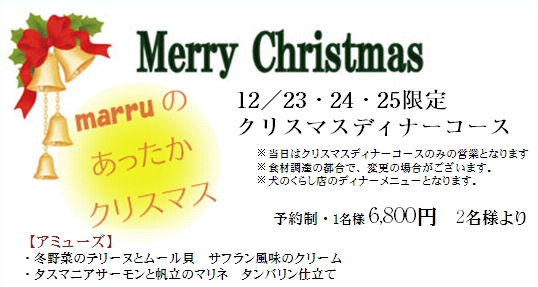 marru 犬のくらし　クリスマス撮影会_d0144744_19301564.jpg