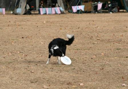 和歌山練習会～１２月～_f0175449_21395642.jpg