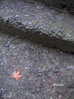 c0098050_17464258.jpg