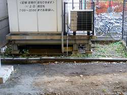 c0001653_2231354.jpg