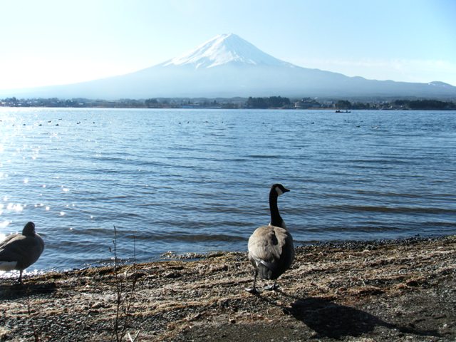 b0070657_15565283.jpg