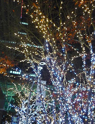 クリスマスの表参道　CINAGRO　シナグロ　幸福な時間。。｡･:*:･ﾟ☆*†_a0053662_190552.jpg