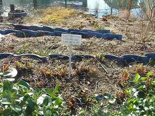f0062462_18305940.jpg