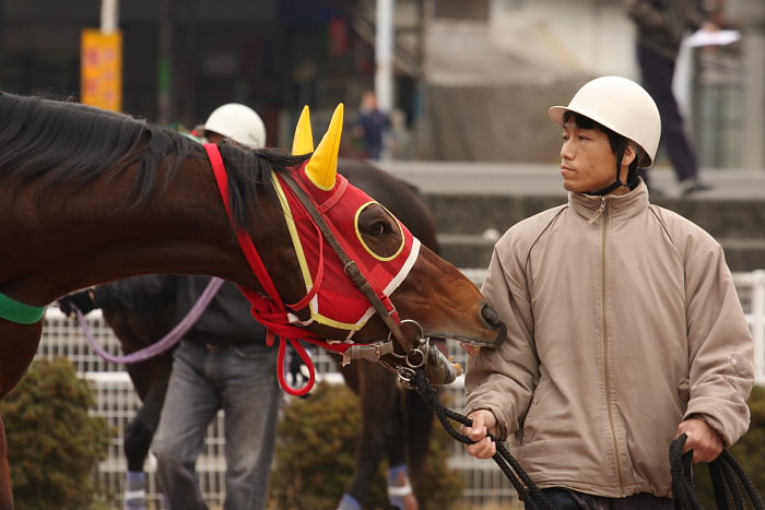 2008年12月21日（日） 高知競馬 3R_a0077663_23314265.jpg