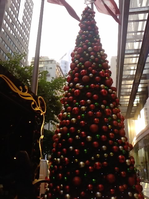 クリスマスイルミネーション 11_e0155771_1961267.jpg