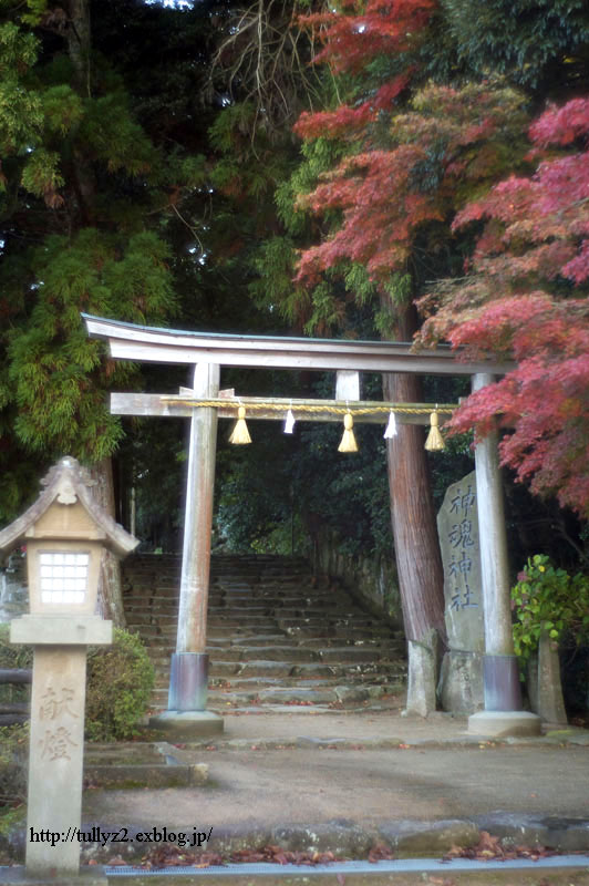 島根の神社　(2)_e0109883_046162.jpg