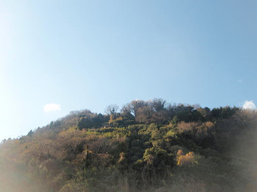 b0055202_2145624.jpg