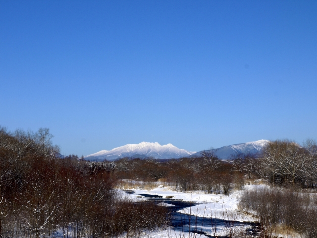 f0020302_2171474.jpg