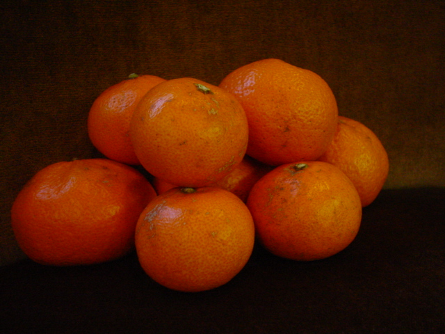 c0037103_16311847.jpg