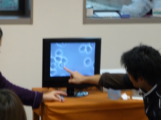 a0099804_071117.jpg