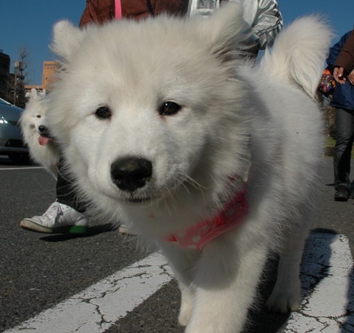 e0018604_20124719.jpg