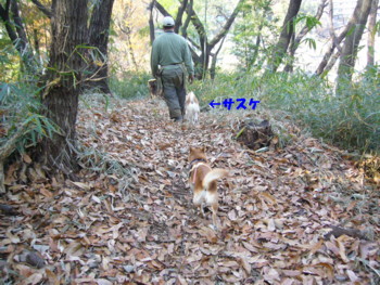 e0131506_0481837.jpg