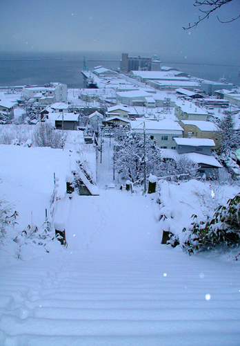 c0170208_846589.jpg