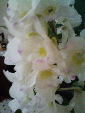 c0026612_9214898.jpg