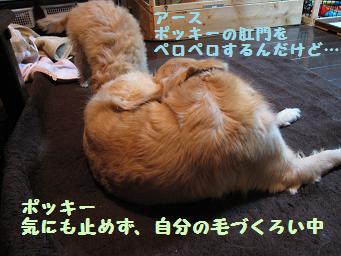 12月11日から22日の11日間 まとめて_e0136815_9331229.jpg