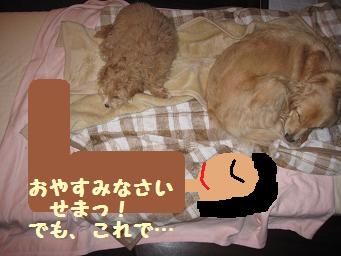 12月11日から22日の11日間 まとめて_e0136815_935186.jpg