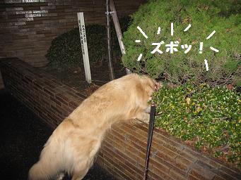 12月11日から22日の11日間 まとめて_e0136815_9384477.jpg