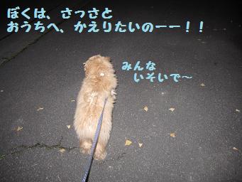 12月11日から22日の11日間 まとめて_e0136815_9431948.jpg