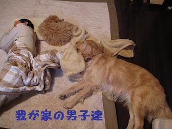 12月11日から22日の11日間 まとめて_e0136815_9591030.jpg