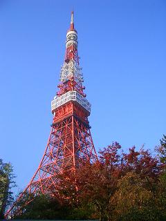 東京タワー50周年！！_f0190816_1434599.jpg