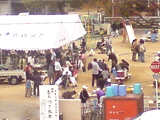 マンションの前で地域の餅つき! #319_e0068533_22185990.jpg
