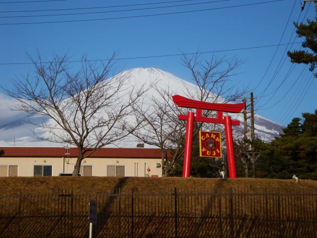 静岡だより 20-12 : 07 (富士の裾野)  (小宮山)_b0012636_2172088.jpg