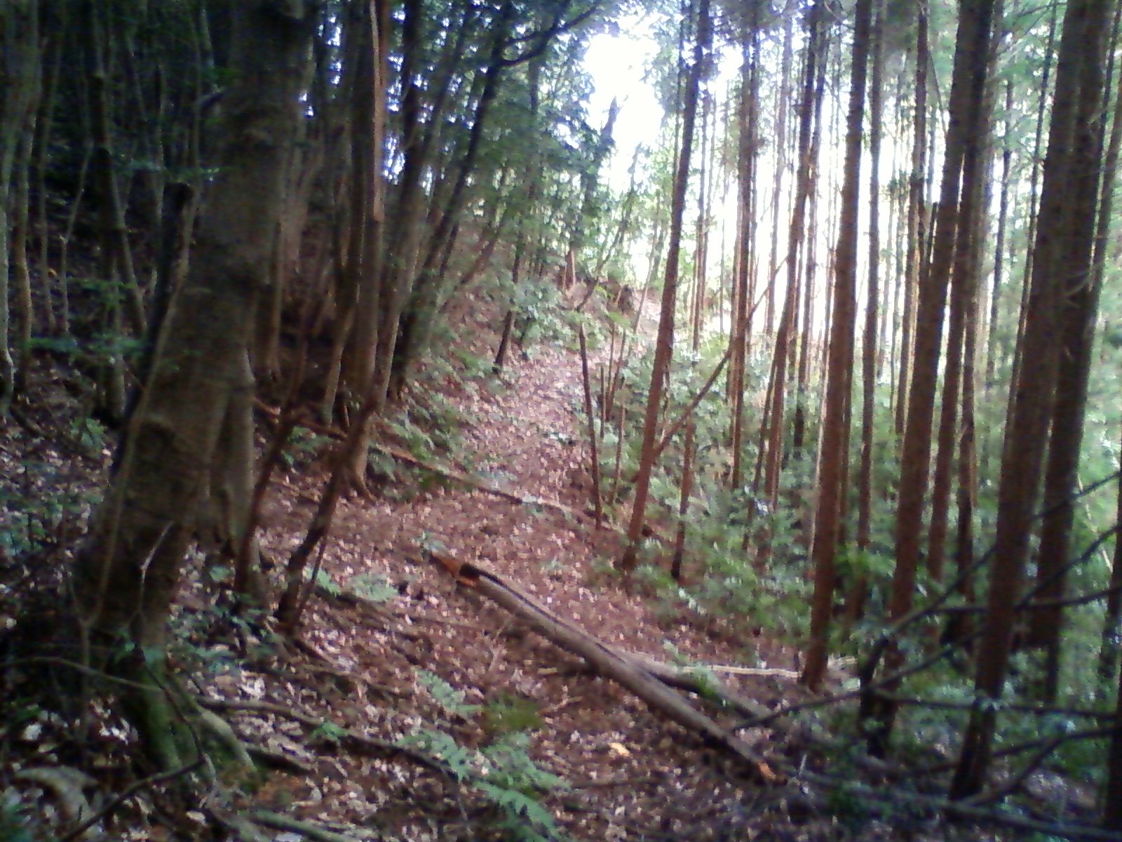 e0138939_2204186.jpg