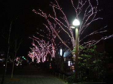 e0060041_8415378.jpg