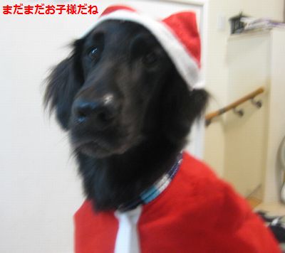 一日早くメリークリスマス♪_b0148945_1922675.jpg