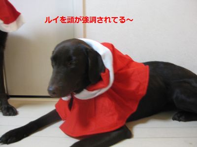 一日早くメリークリスマス♪_b0148945_1925743.jpg