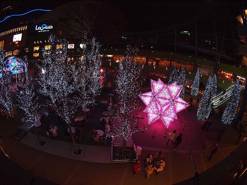 Illumination View in TOKYO -Ⅲ _d0149245_12114764.jpg