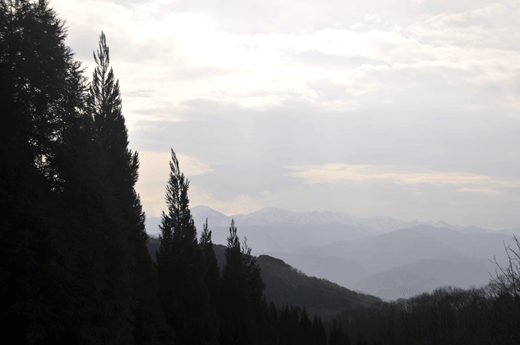 c0093046_848224.gif
