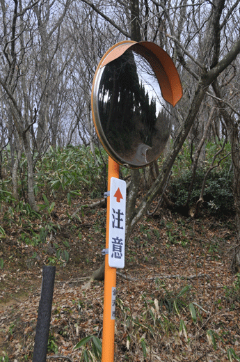 c0093046_8482329.gif