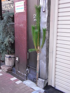 c0019551_2164751.jpg