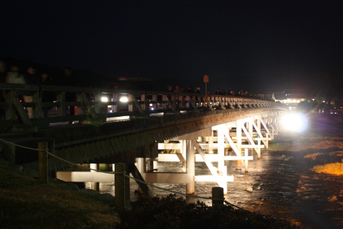 花灯路2008 <京都・夜の嵐山>_c0118352_3182052.jpg