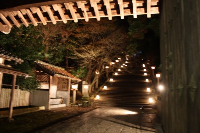 花灯路2008 <京都・夜の嵐山>_c0118352_3313985.jpg