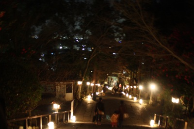 花灯路2008 <京都・夜の嵐山>_c0118352_3502735.jpg
