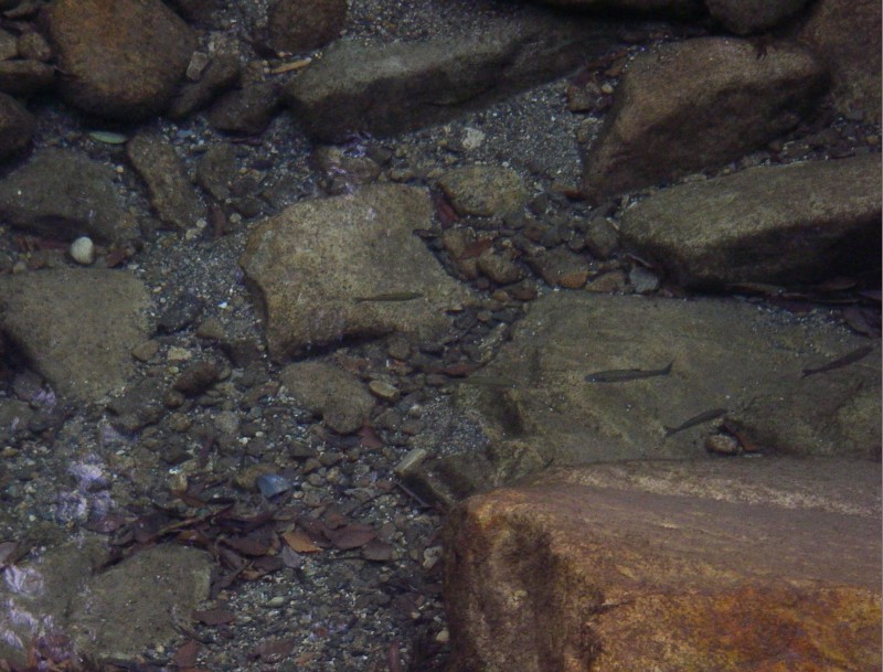 c0108863_1172420.jpg