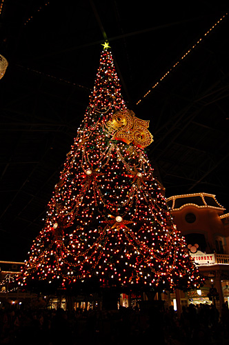 東京ディズニーランド Christmas Fantasy 2008_b0036764_20314044.jpg