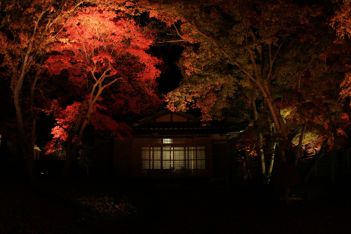 京都　嵐山　6_f0021869_19395758.jpg