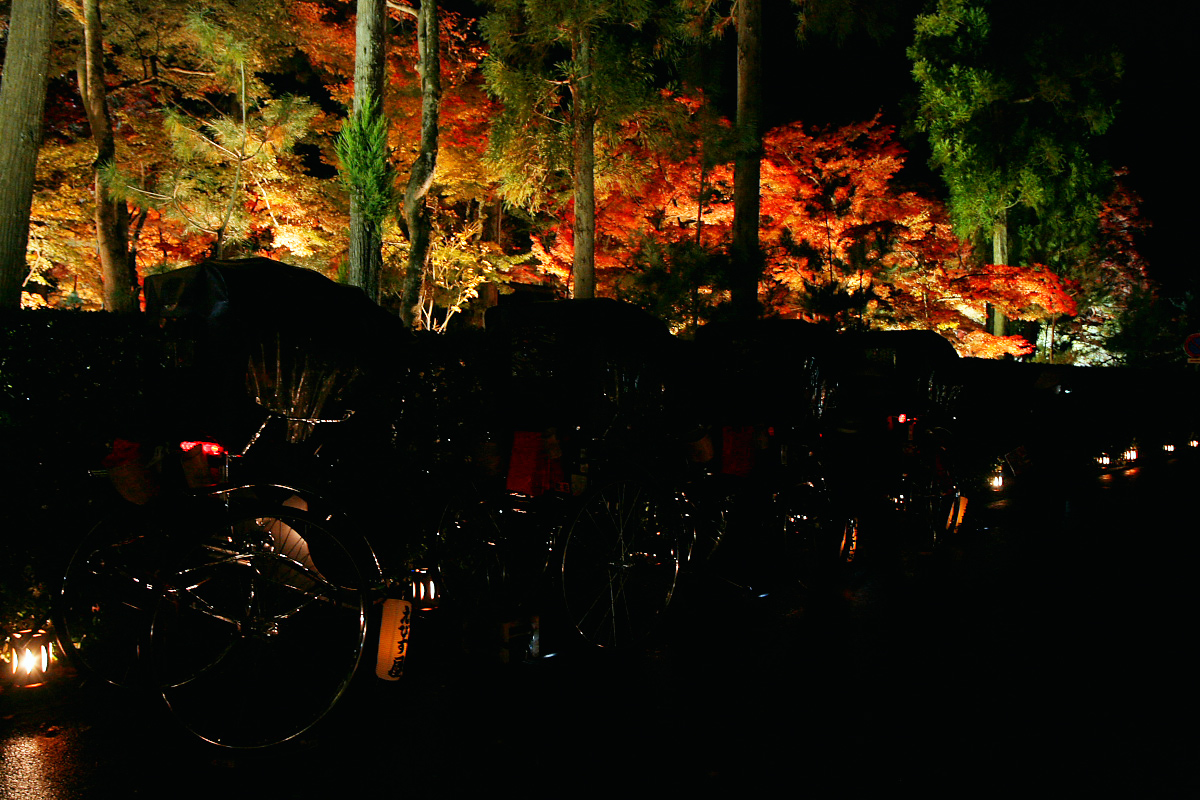 京都　嵐山　6_f0021869_19452345.jpg