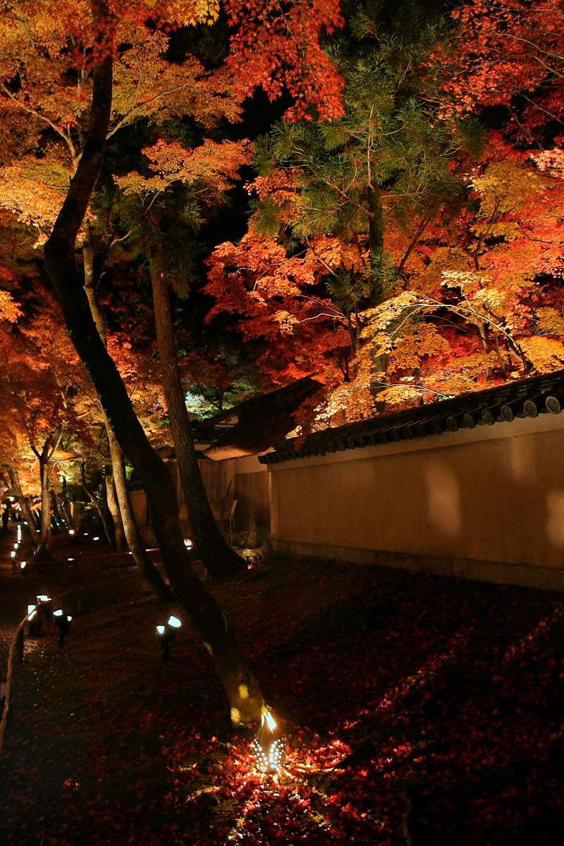 京都　嵐山　6_f0021869_19485618.jpg