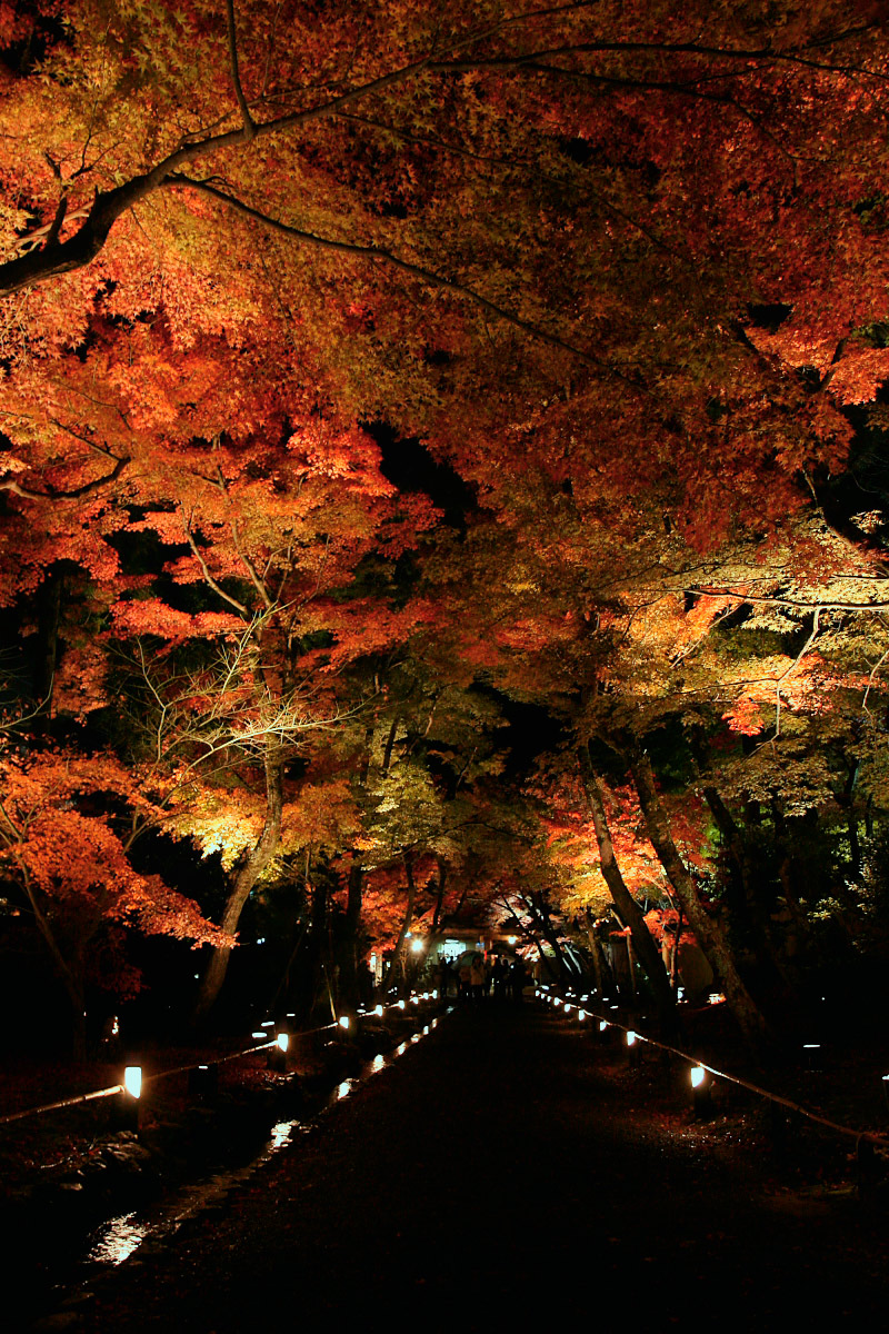 京都　嵐山　6_f0021869_19492374.jpg