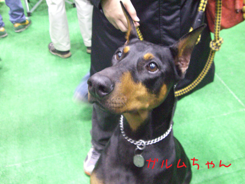 f0025769_2223104.jpg