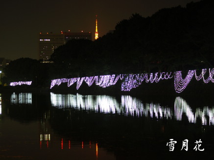 LIGHTOPIA 2008＠Ｍａｒｕｎｏｕｃｈｉ_f0183469_23411446.jpg