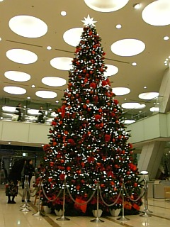 b0056570_0125624.jpg