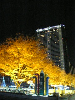 b0056570_0165660.jpg