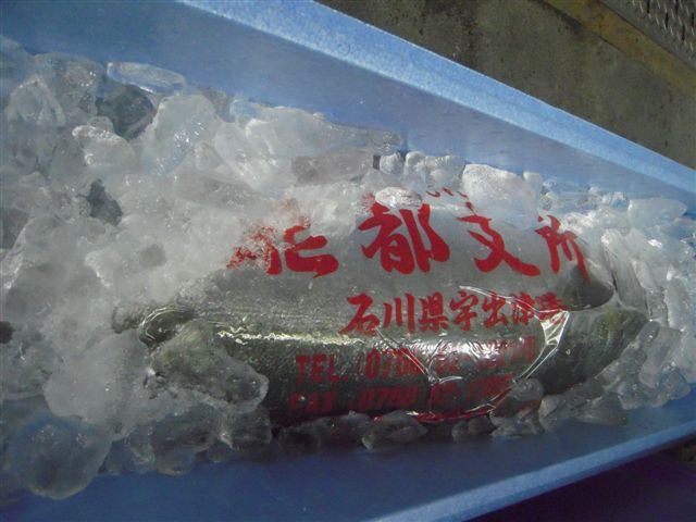 c0157575_2331429.jpg